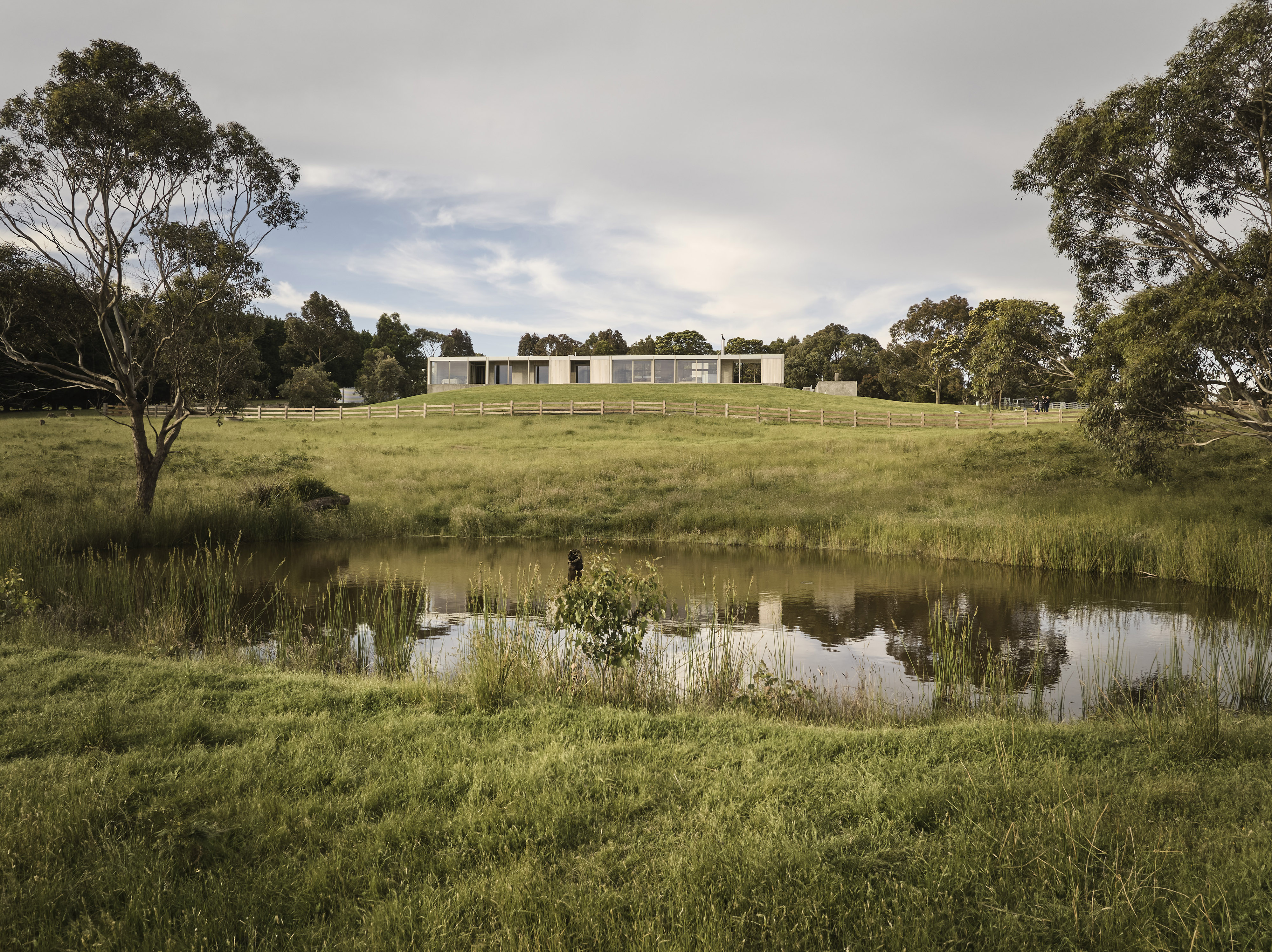 JCB_Lightwood_HighRes_HighRes488_AIA POSTER