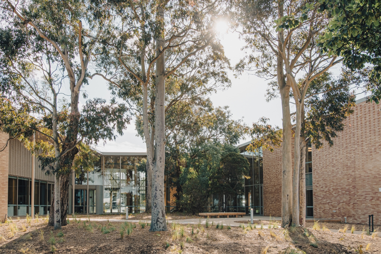 Berninneit Cultural and Community Centre | Jackson Clements Burrows